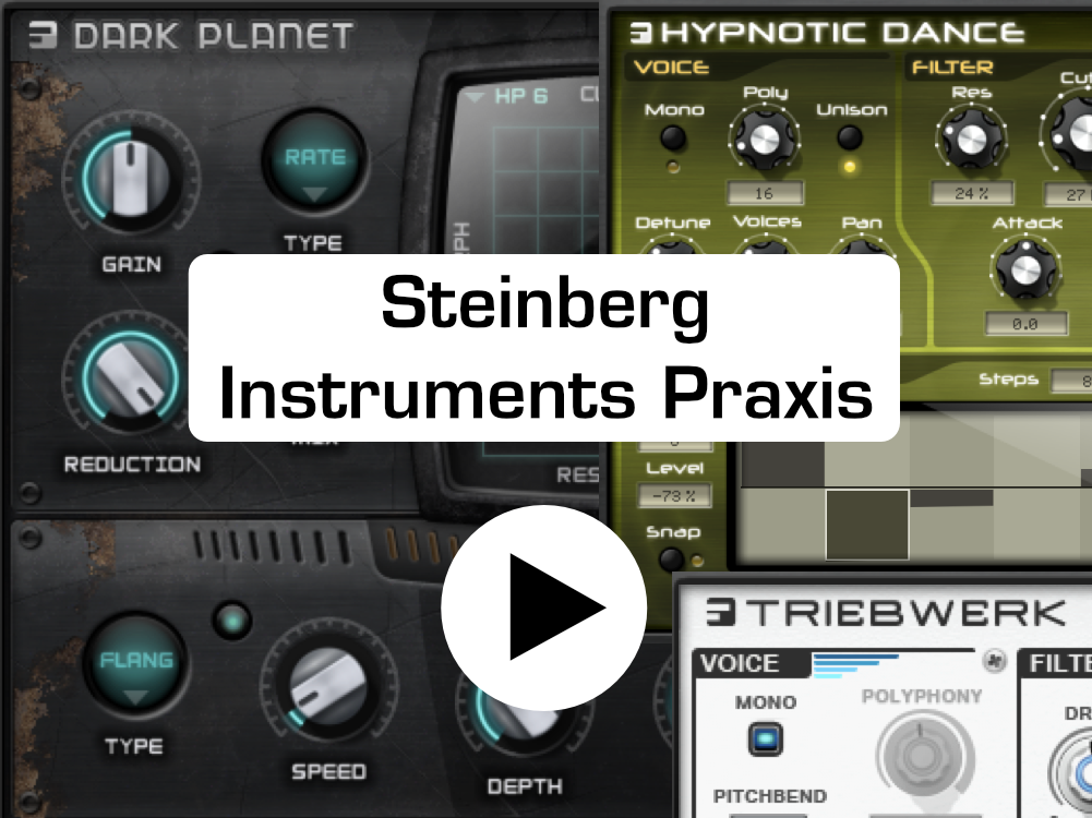 Steinberg Instruments Praxis