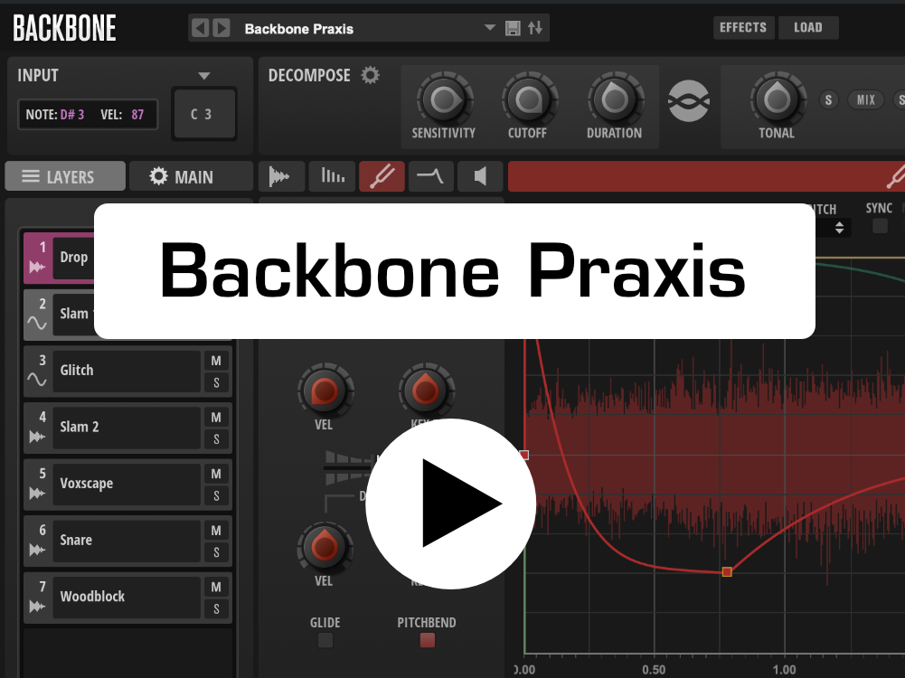 Backbone Praxis